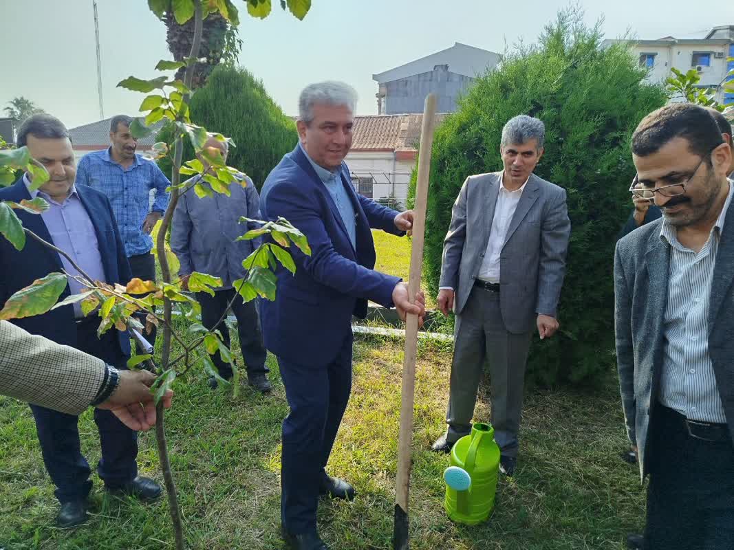 رئیس سازمان جهاد کشاورزی گیلان:  درختکاری را محدود به اسفند نکنیم/ امکان کاشت نهال های گلدانی در طول سال